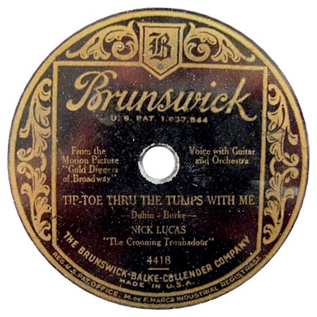 Tiptoe Thru The Tulips With Me, Nick Lucas, Brunswick 4418, original record label